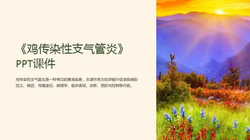 《鸡传染性支气管炎》课件