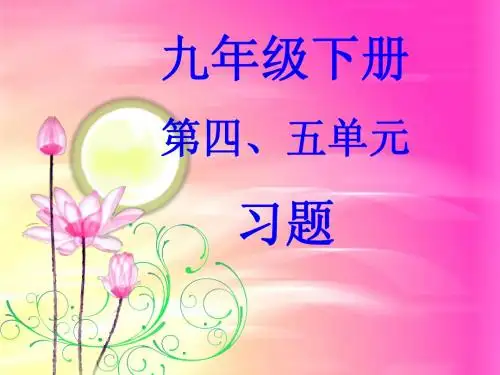 九年级下册4-5单元习题