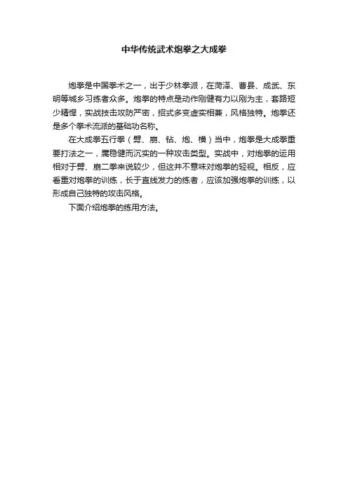 中华传统武术炮拳之大成拳