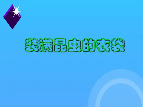装满昆虫的衣袋优秀PPT