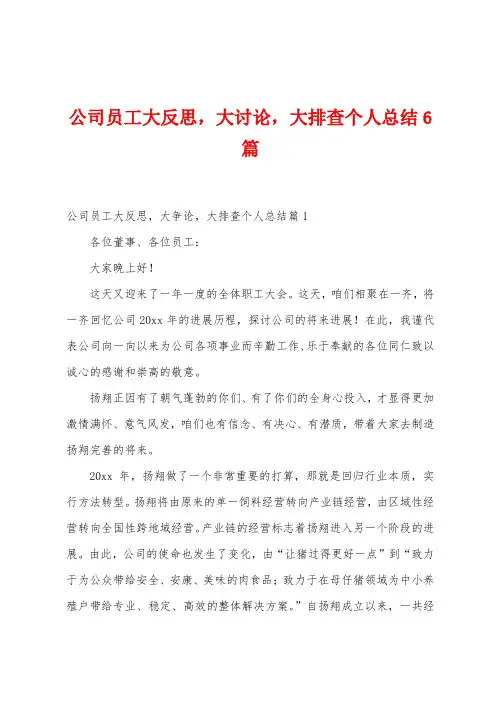 公司员工大反思大讨论大排查个人总结6篇