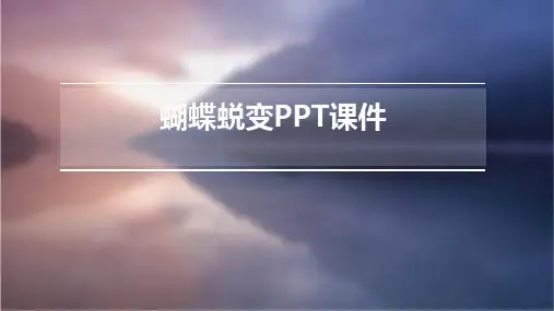 蝴蝶蜕变ppt课件