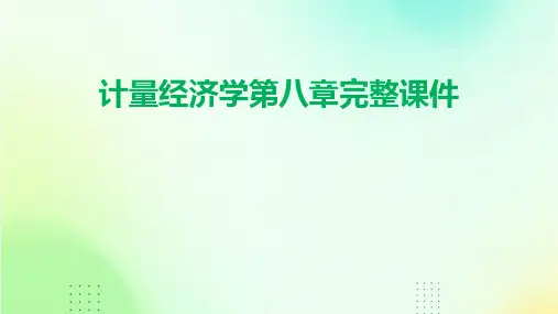 计量经济学第八章完整课件