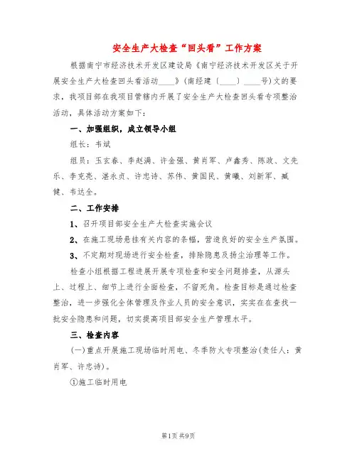 安全生产大检查“回头看”工作方案(2篇)