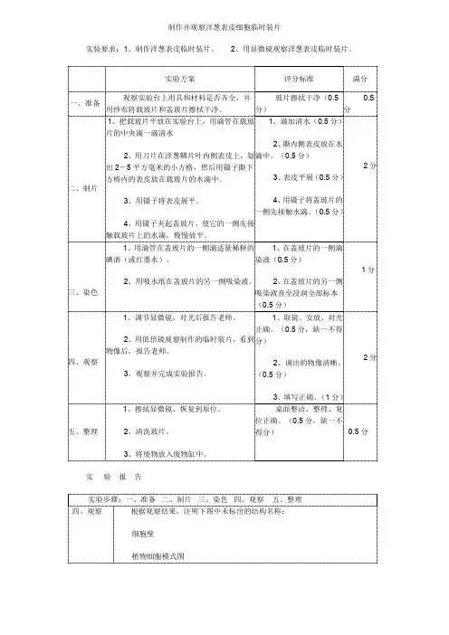 制作并观察洋葱表皮细胞临时装片