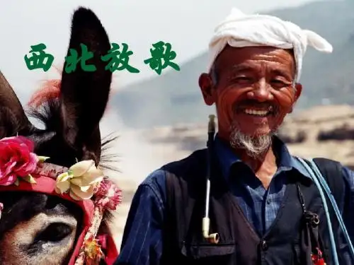 西北放歌