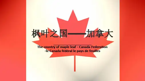 枫叶之国
