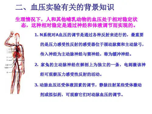 实验家兔动脉血压神经体液调节