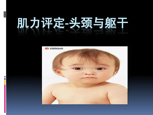 肌力评定-头颈与躯干