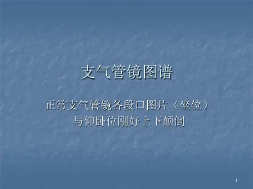 (优质医学)支气管镜图谱