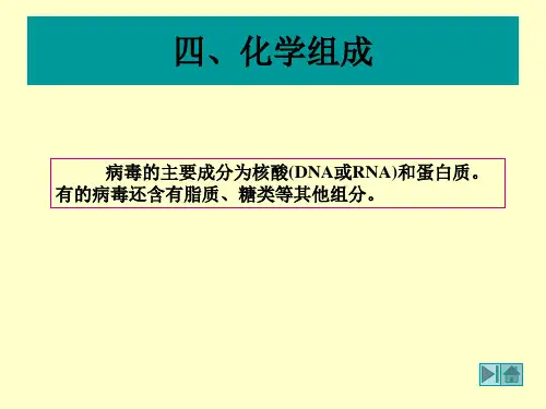 20病毒的主要成分