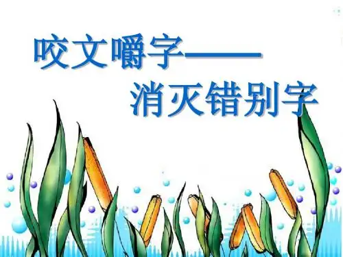 咬文嚼字-消灭错别字