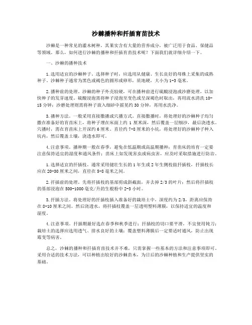 沙棘播种和扦插育苗技术