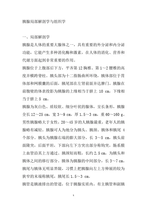 胰腺局部解剖学与组织学