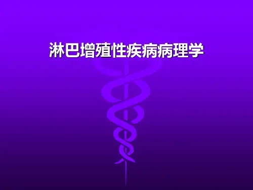 淋巴增殖病理学ppt课件
