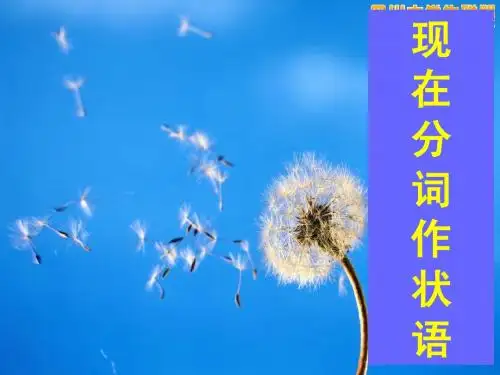 现在分词作状语