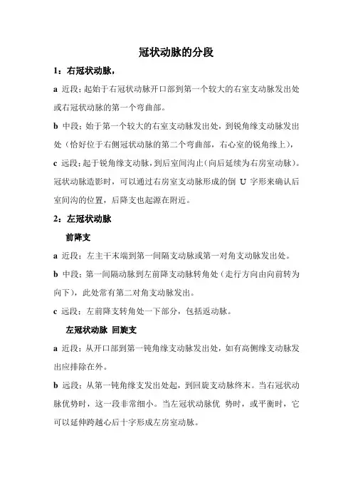 冠状动脉的分段