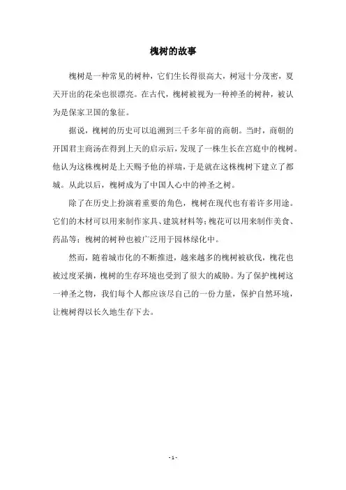 槐树的故事