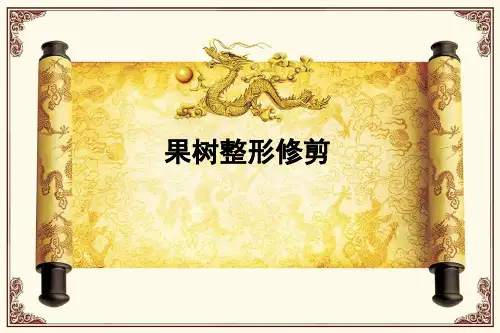 果树整形修剪课件1