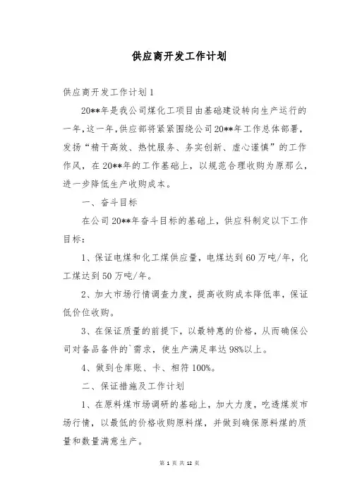供应商开发工作计划