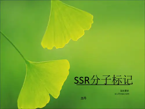 SSR分子标记ppt