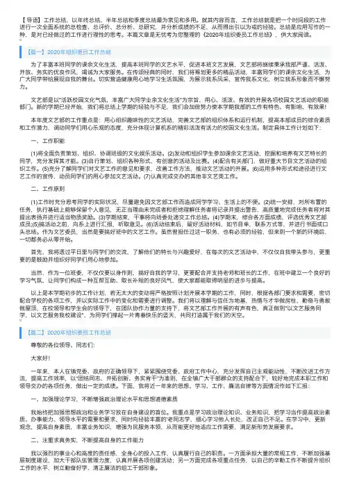 2020年组织委员工作总结