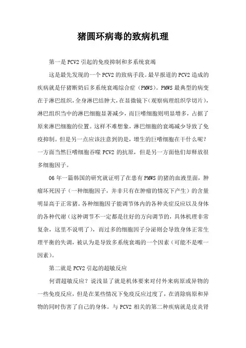 猪圆环病毒致病机理