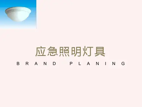 应急照明灯和疏散指示标志