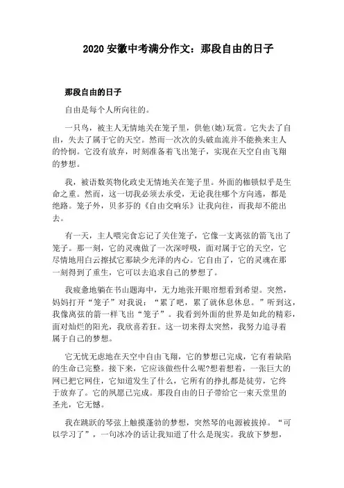 2020安徽中考满分作文：那段自由的日子