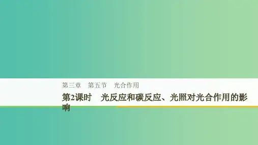 201x-201x版高中生物 第三章 细胞的代谢 第五节 光合作用 第2课时课件 浙科版必修1