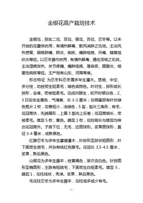 金银花高产栽培技术