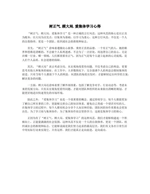 树正气.顾大局.爱集体学习心得