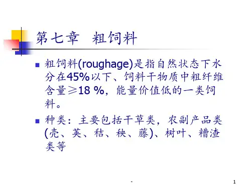 第七章粗饲料PPT课件