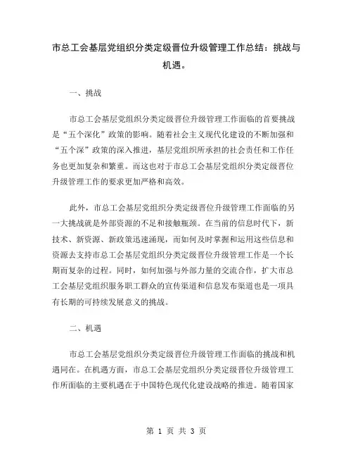 市总工会基层党组织分类定级晋位升级管理工作总结：挑战与机遇