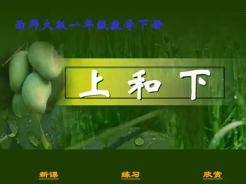 【西师大版】数学一年级下：《位置上和下》课件