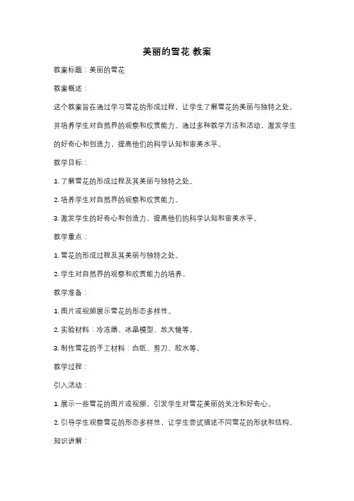 美丽的雪花 教案