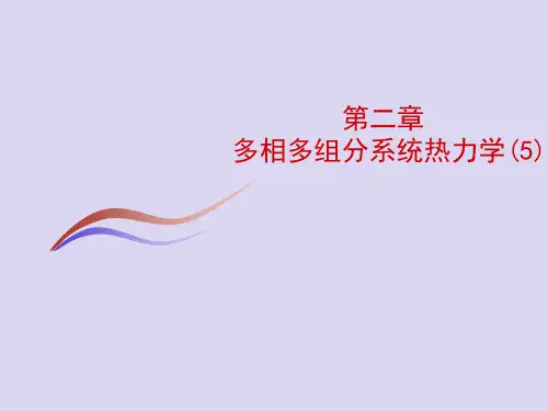 第二章多相多组分系统热力学(5)