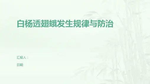 白杨透翅蛾发生规律与防治