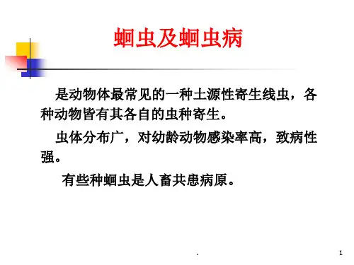 (医学课件)蛔虫及蛔虫病ppt演示课件