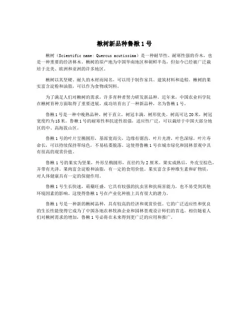楸树新品种鲁楸1号