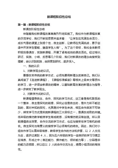 新课程阶段性总结