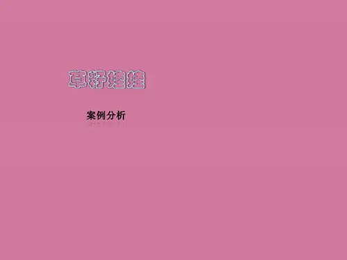 案例四：草籽娃娃案例分析ppt课件