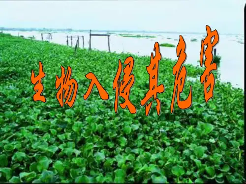 人教版七年级下册生物：科学 技术 社会 生物入侵及其危害