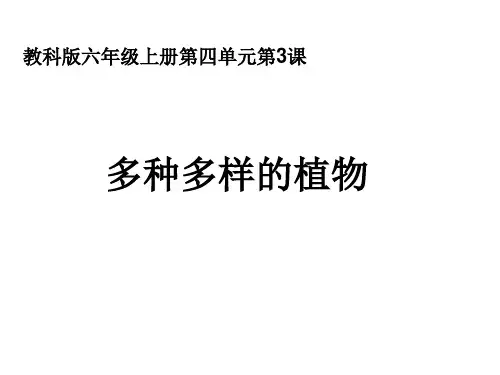 六上四3多种多样的植物-48页精选文档
