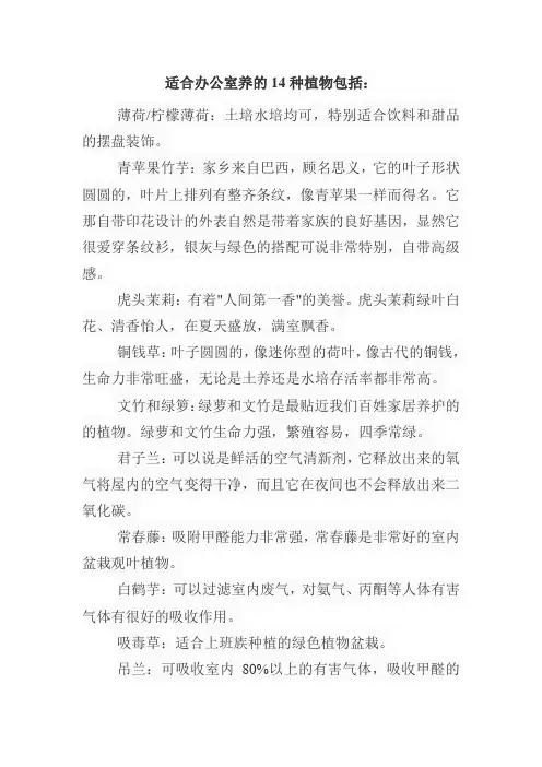 适合办公室养的14种植物