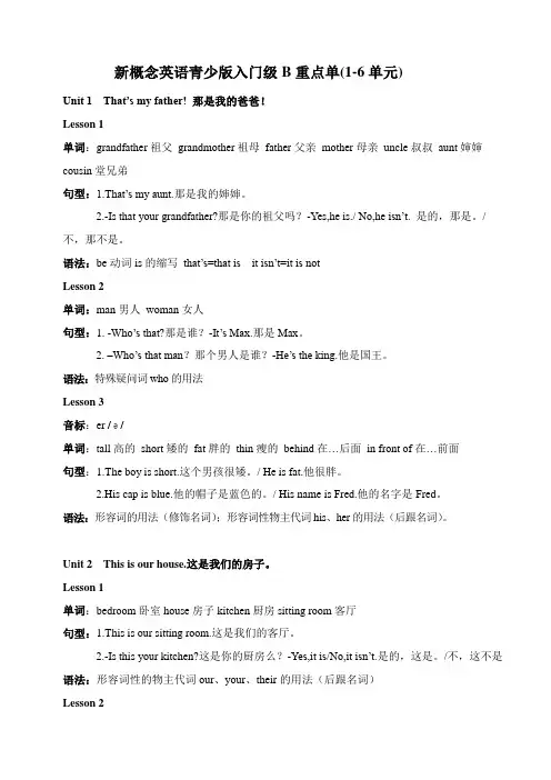 (完整版)新概念英语青少版入门级B重点1-6