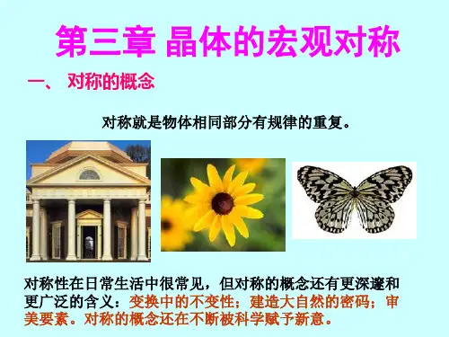 结晶学 第三章 晶体的对称