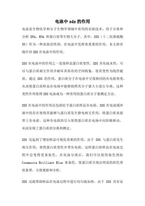 电泳中sds的作用