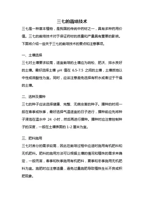 三七的栽培技术