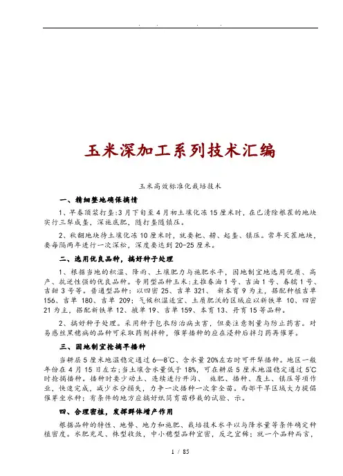 玉米深加工系列技术汇编大全